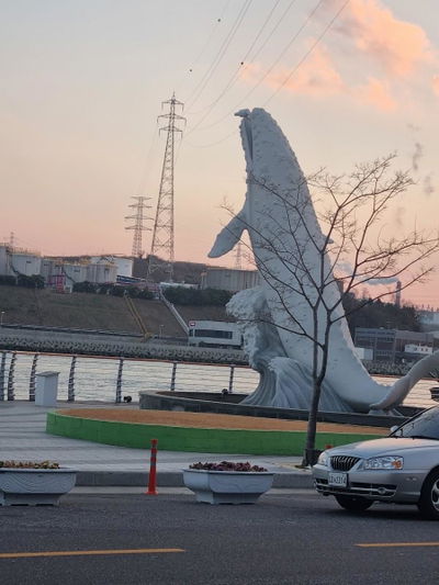 長生浦クジラ文化特区