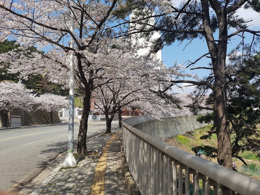 影島區廳