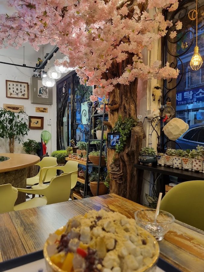 Gallery Cafe Namuwa Saem