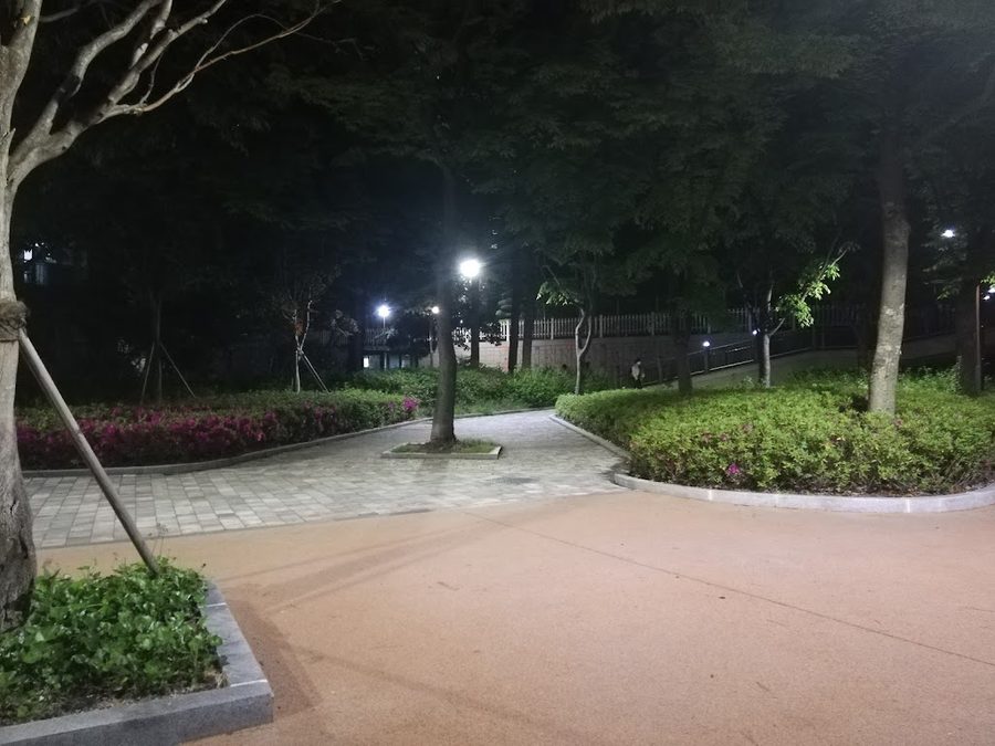 Gyeonu Park