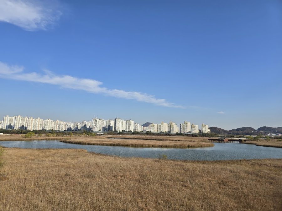 Sorae Marsh Ecological Park