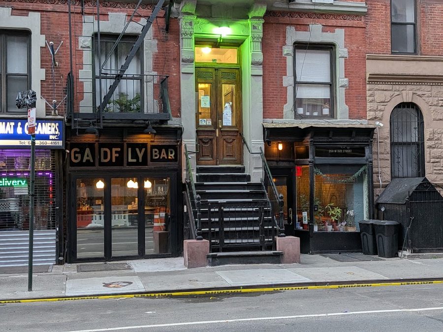 Gadfly Bar