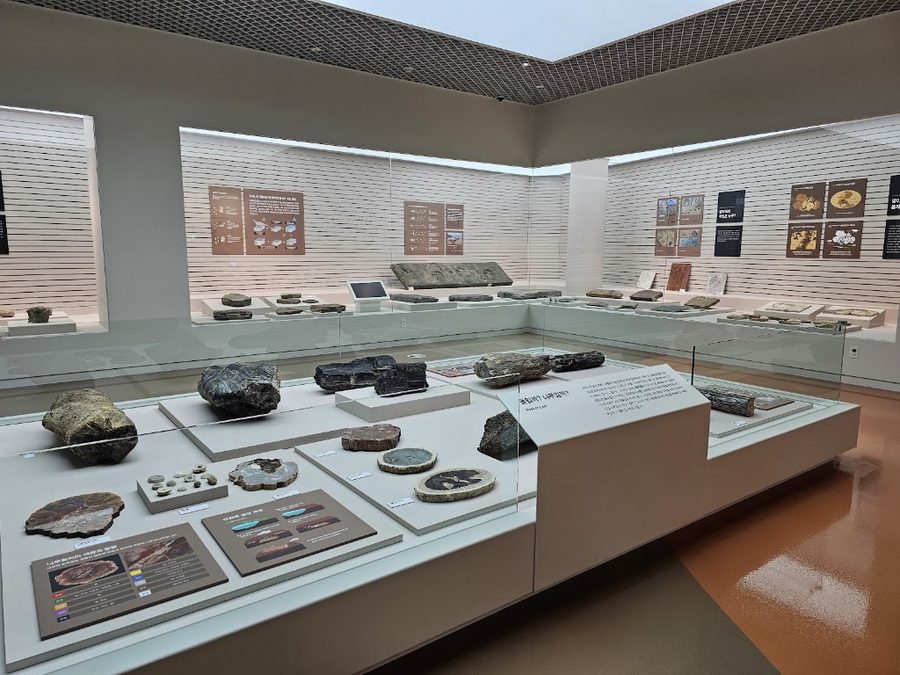 Dalseong Fossil Museum