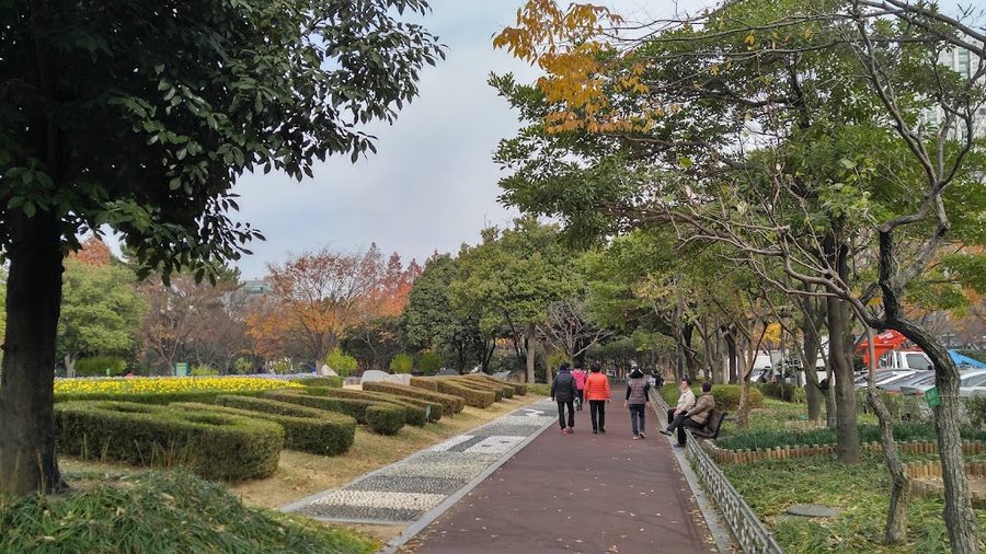 Jandi Plaza