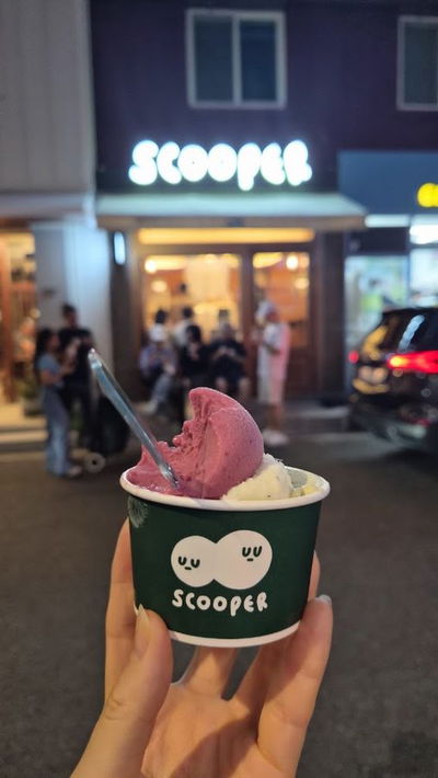 Scooper Gelato