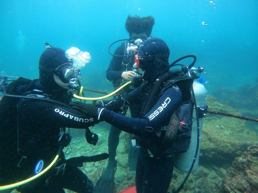 COZYDIVE