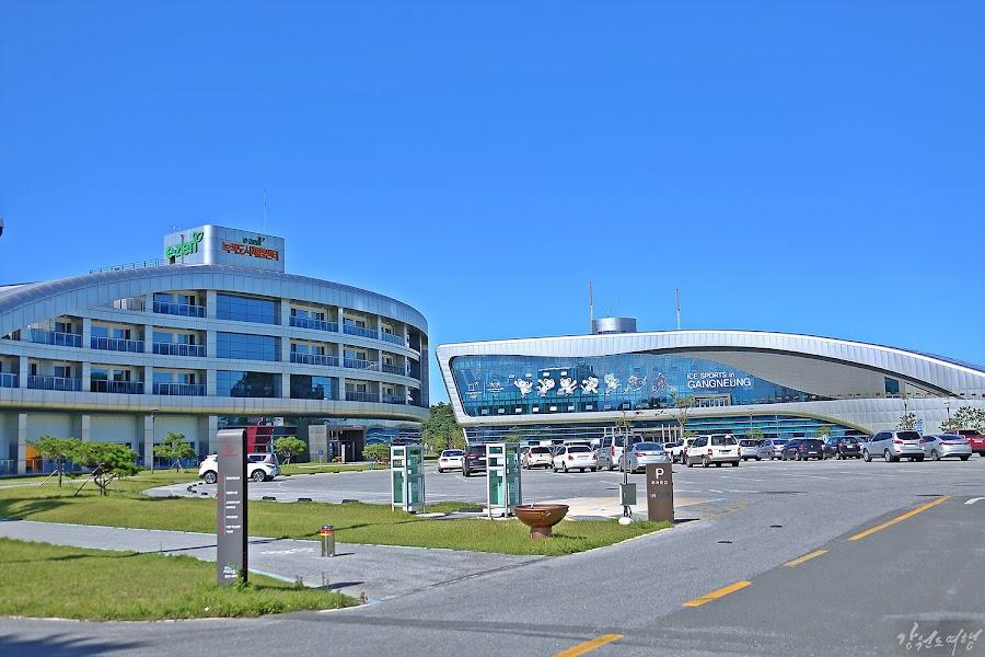 Gangneung Metaverse Experience Center