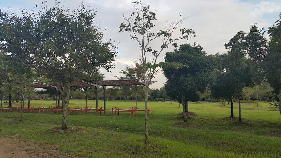 Nakdonggang Estuary Migratory Bird Sanctuary