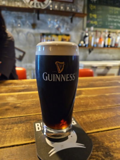 맥주를 삼킨 악어