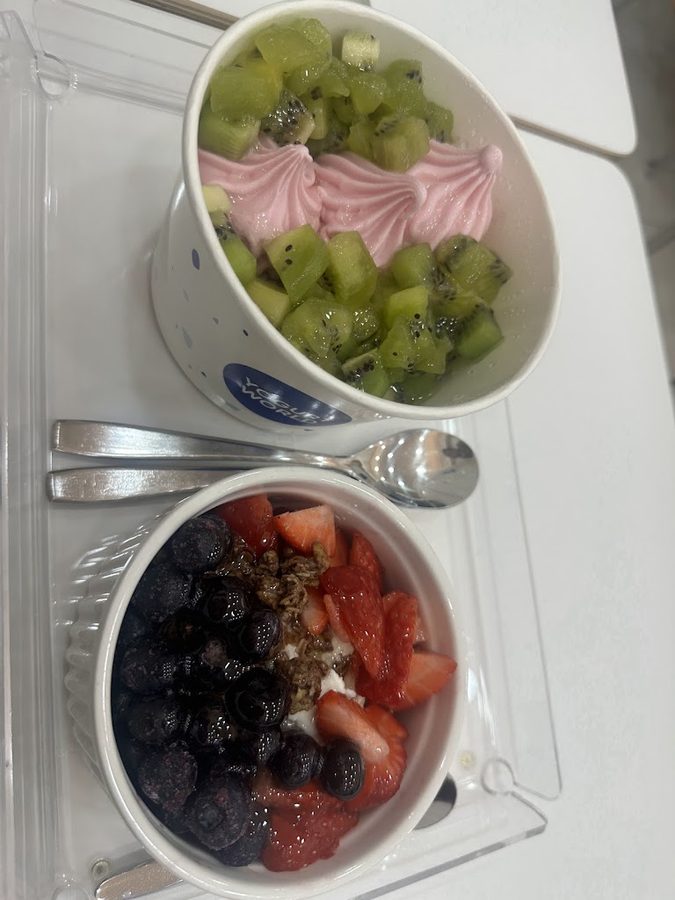 Yogurt World Sinsa Station Branch