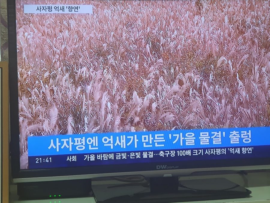 민속손칼국수