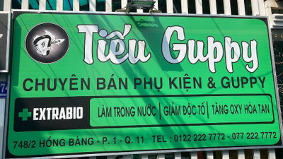 Tiếu Guppy Store