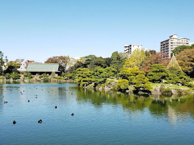 Kiyosumi Park