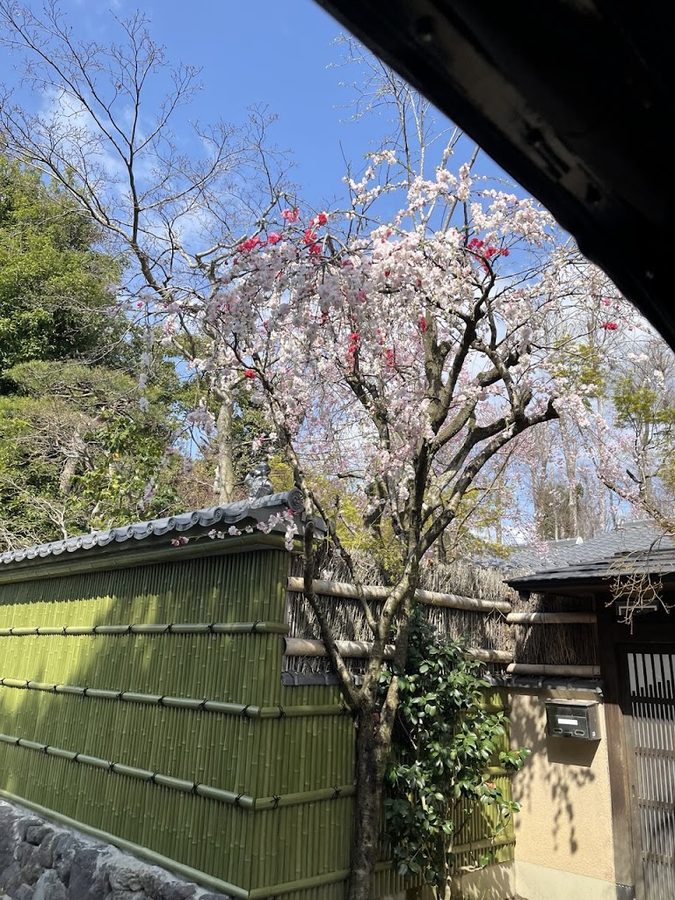 Arashiyama Rickshaw