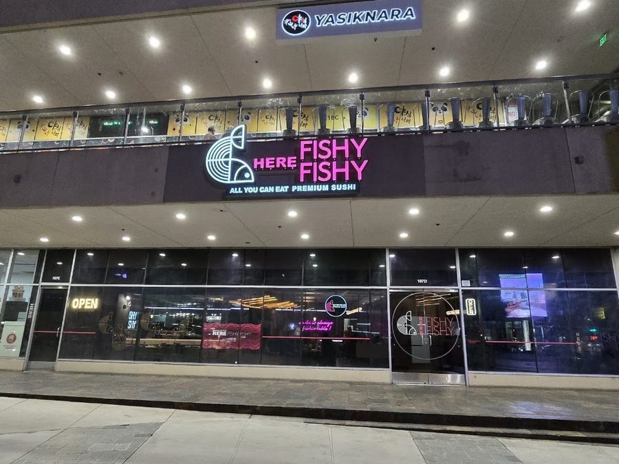 HERE FISHY FISHY - Wilshire