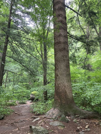 Odaesan National Park Sogeumgang District