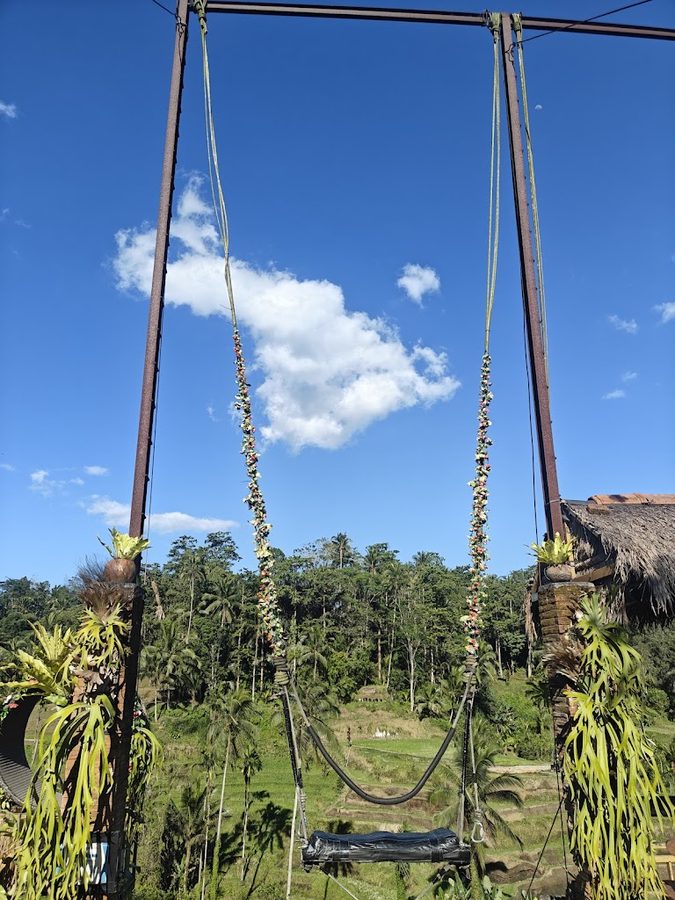 Alam Bali swing
