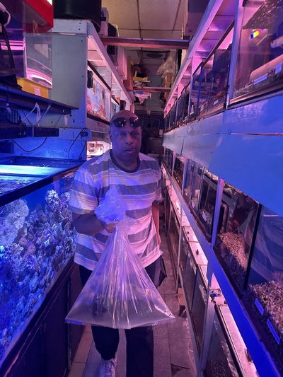 Yo's Aquarium