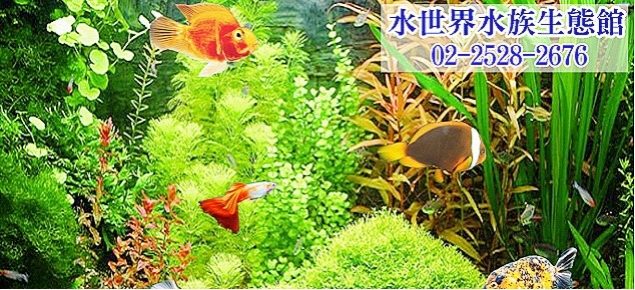 水世界水族生態館