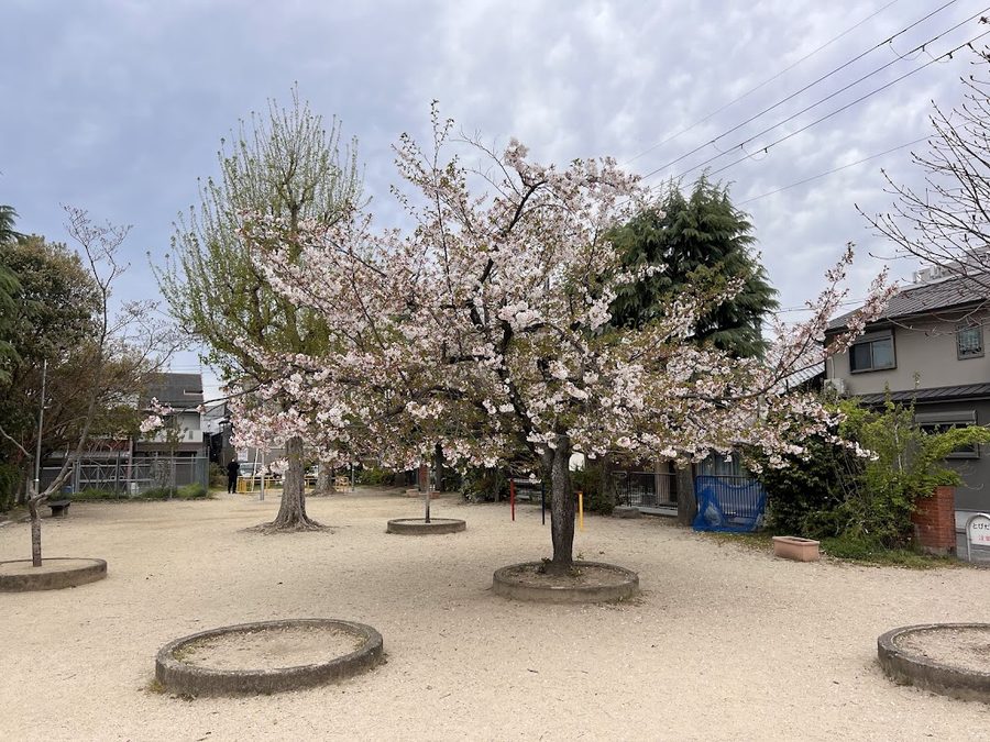 Wakamatsu Park