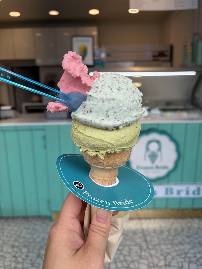 프로즌브라이드