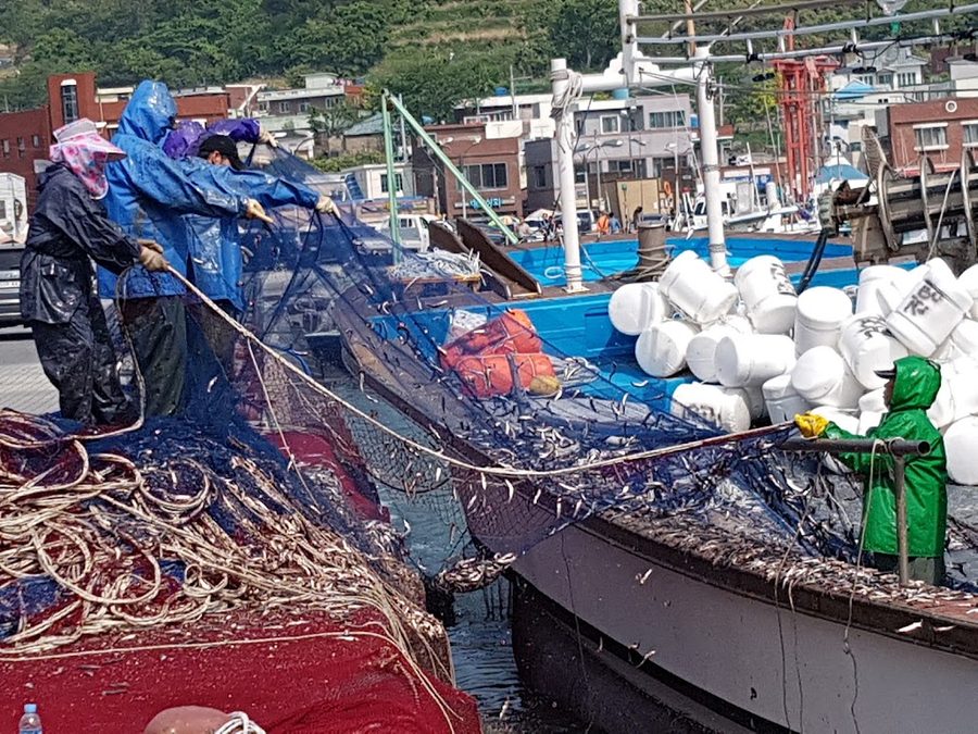 대변항등대