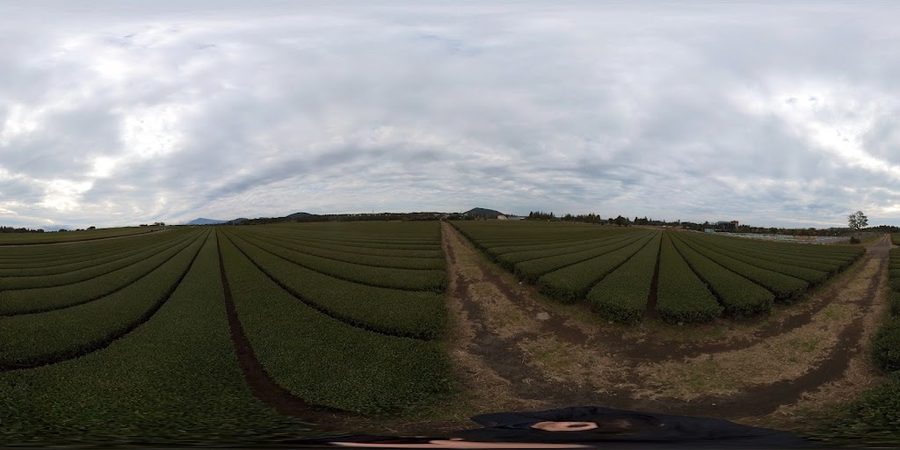 Seongeup Green Tea Village Agricultural Corporation