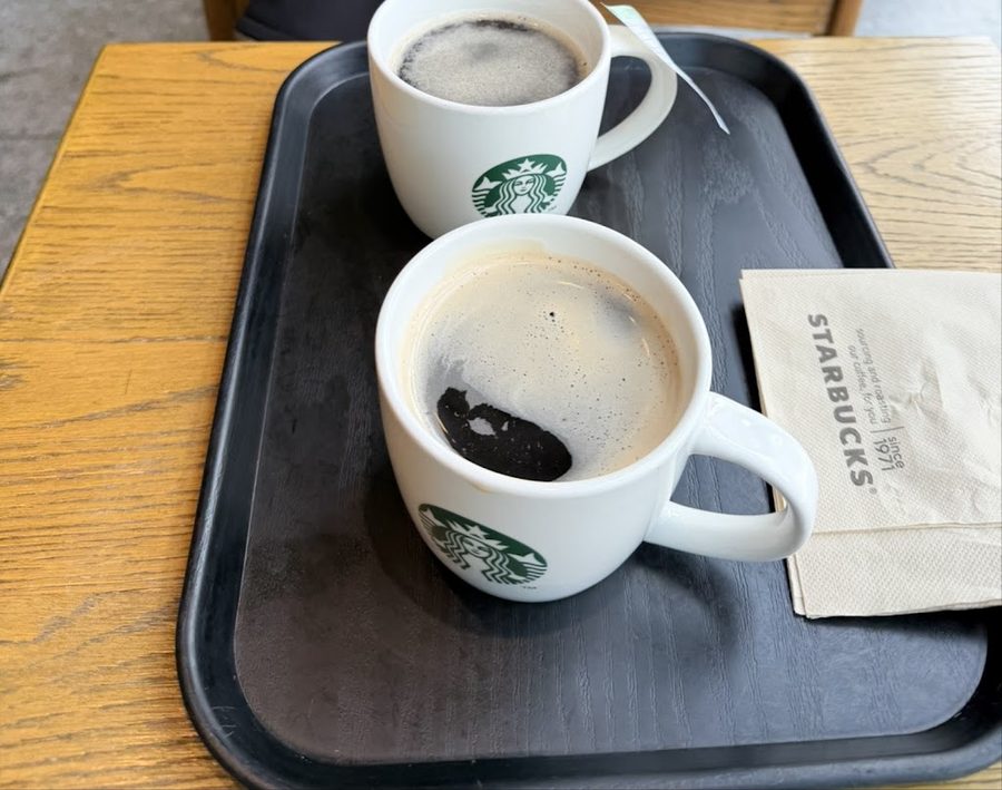 Starbucks Mapo Yonggang-dong