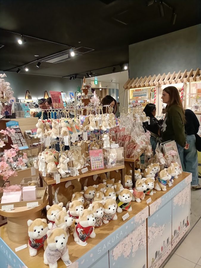 Hachiful SHIBUYA meets AKITA