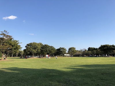 乙淑島候鳥公園