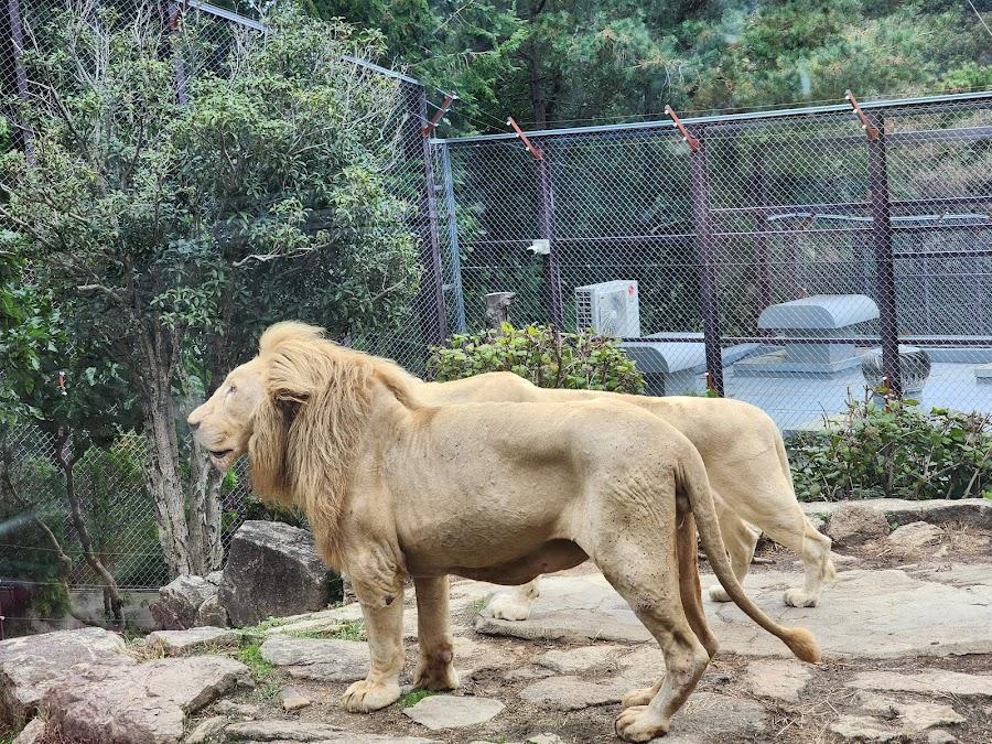 Nature Park