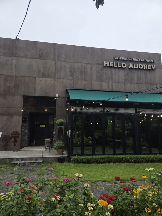 Hello Audrey