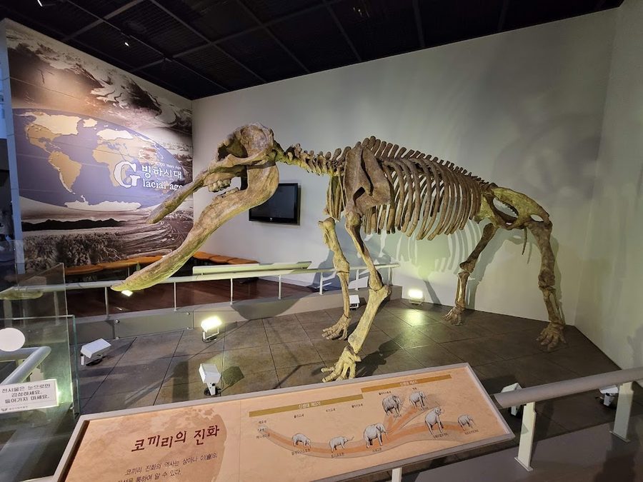 Miryang Museum