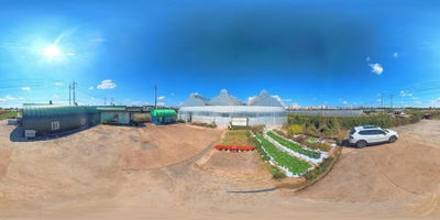 Four Seasons Healing Farm