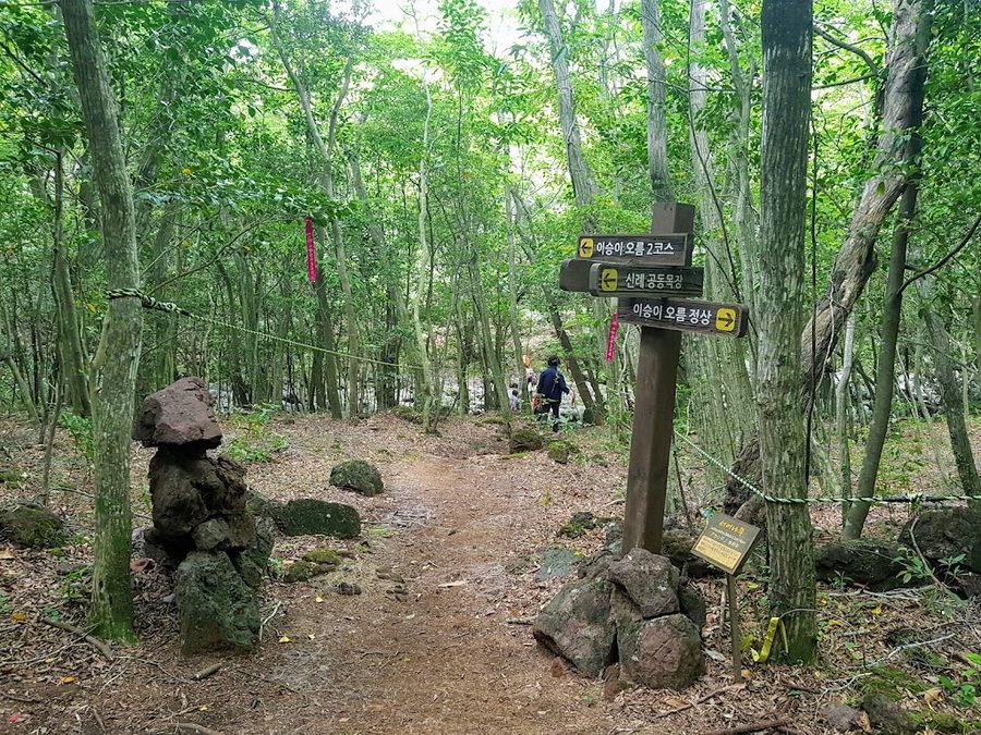 Hallasan Dulle-gil Section 5 Suak-gil