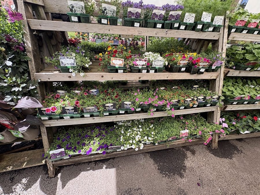 Camden Garden Centre