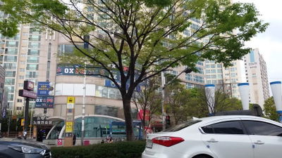 종합운동장역
