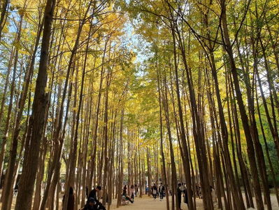 ソウルの森公園