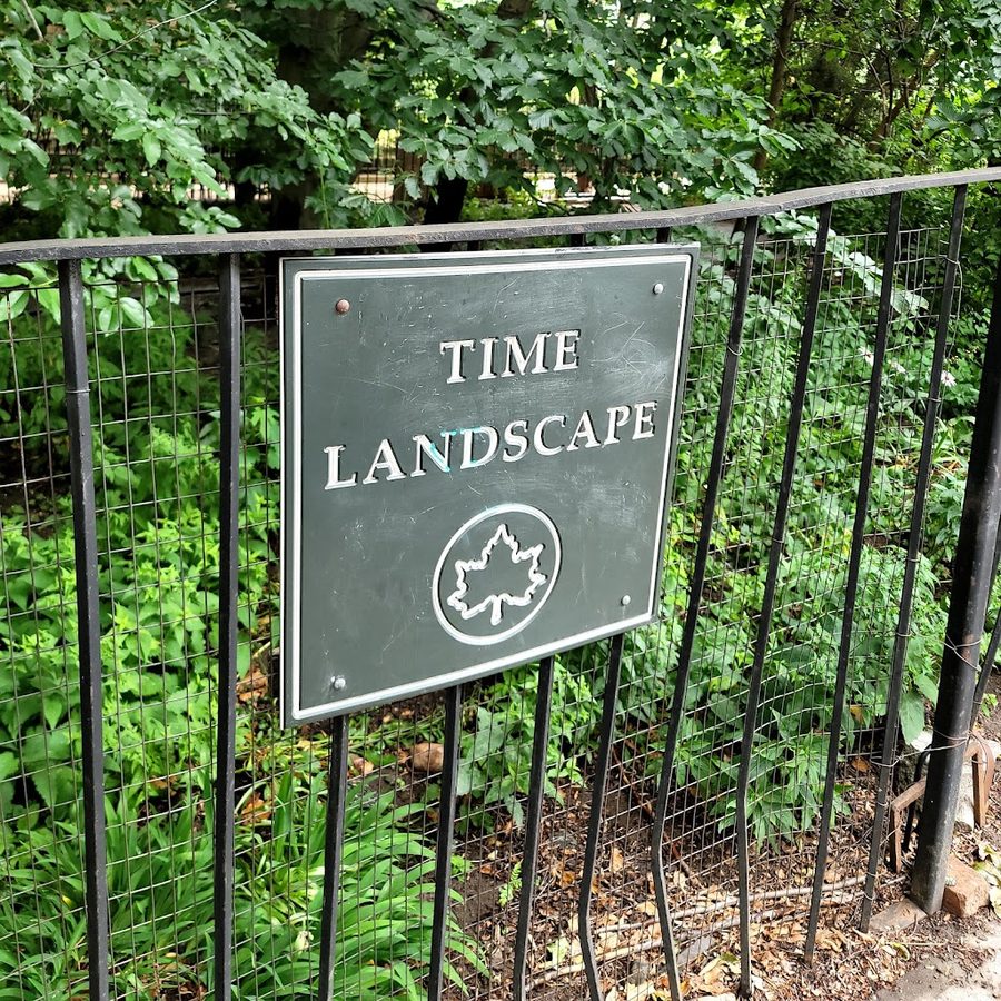 Time Landscape