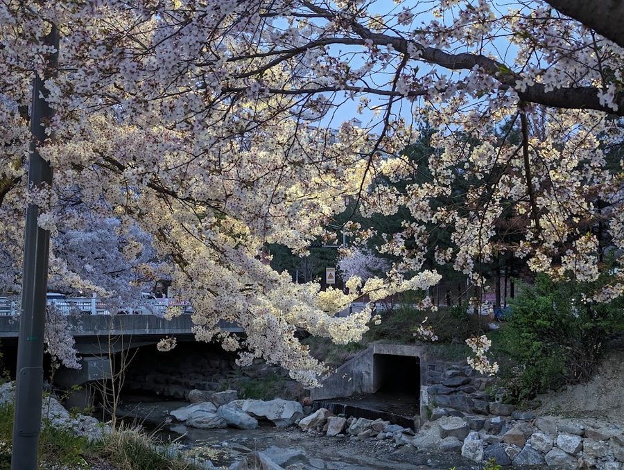 Jangjaecheon