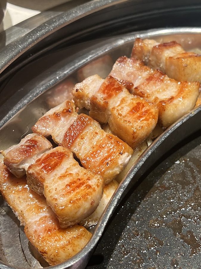 Dotgogi 506