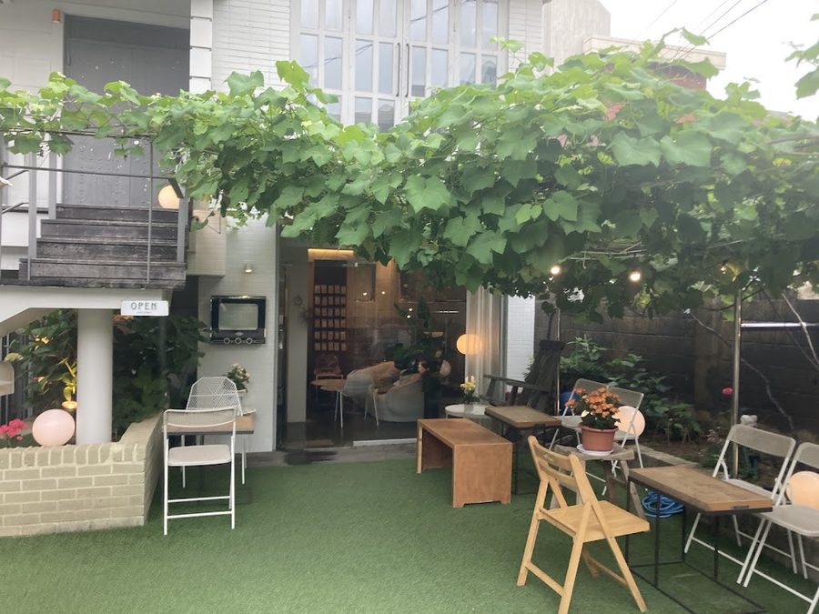 제니스까페