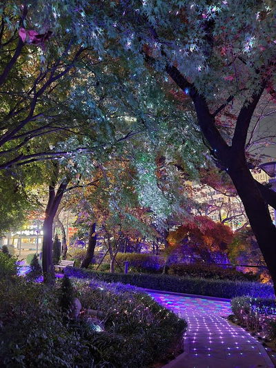Geumnamno Park