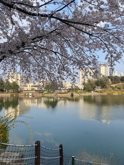 Konkuk University Ilgam Lake