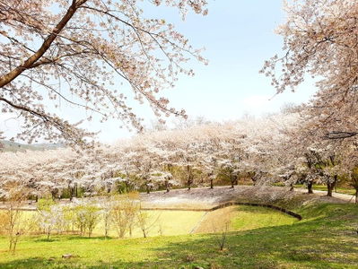 한국과학기술원 어은동산