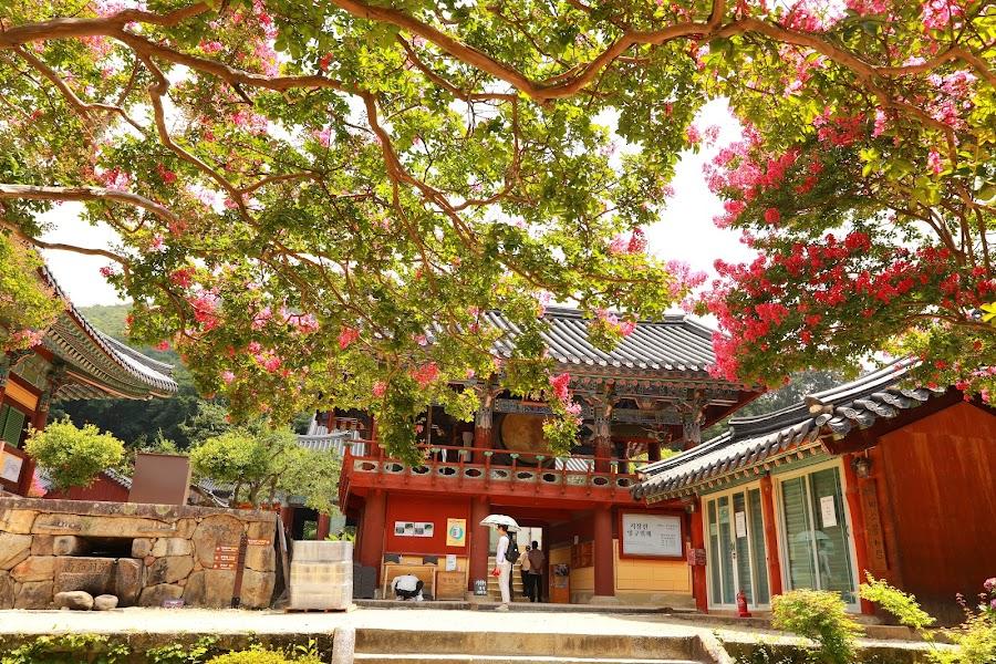 대한불교조계종 제21교구 본사 송광사