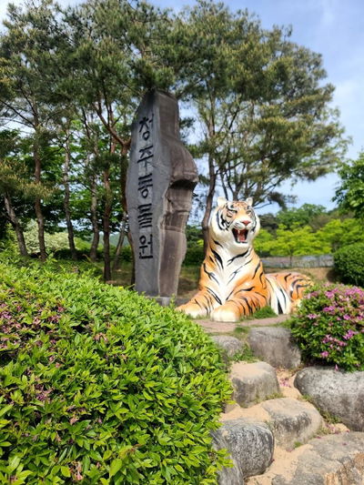 Cheongju Zoo