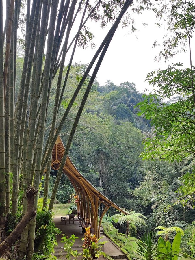 Taro Village Experience