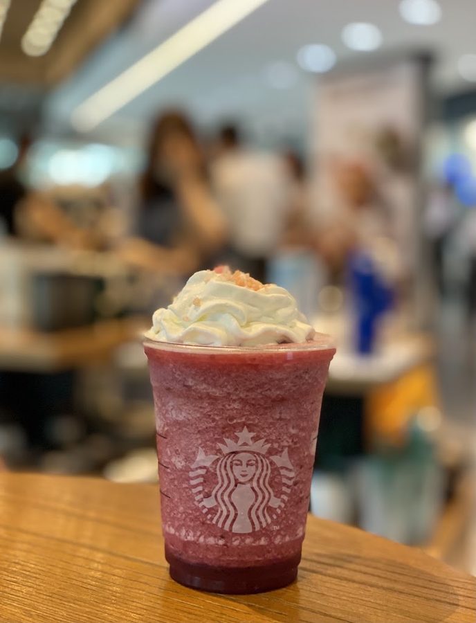 Starbucks Sangam YTN