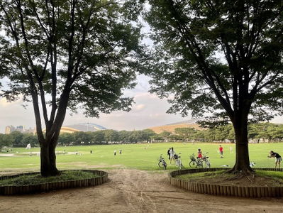 88 Lawn Field